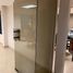 186 제곱미터입니다 Office for rent in 치와와, 치와와, 치와와