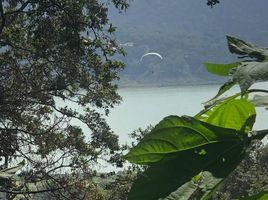  Grundstück zu verkaufen in Valle De Bravo, Mexico, Valle De Bravo, Mexico