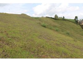  Terreno (Parcela) en venta en El Carmen De Viboral, Antioquia, El Carmen De Viboral