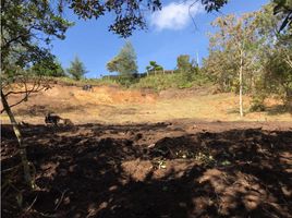  Terreno (Parcela) en venta en El Carmen De Viboral, Antioquia, El Carmen De Viboral