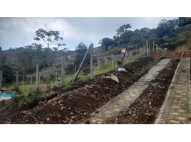  Land for sale in Cali, Valle Del Cauca, Cali