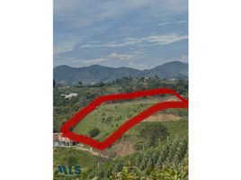  Land for sale in Marinilla, Antioquia, Marinilla