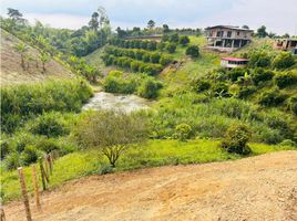  Terreno (Parcela) en venta en Ulloa, Valle Del Cauca, Ulloa