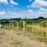  Terreno (Parcela) en venta en Ulloa, Valle Del Cauca, Ulloa