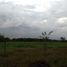  Grundstück zu vermieten in Palmira, Valle Del Cauca, Palmira, Valle Del Cauca