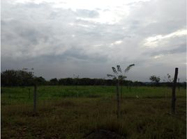  Terreno (Parcela) en alquiler en Valle Del Cauca, Palmira, Valle Del Cauca