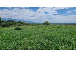  Land for sale in El Cerrito, Valle Del Cauca, El Cerrito