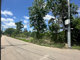  Grundstück zu verkaufen in Conkal, Yucatan, Conkal