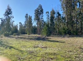  Land for sale in Navidad, Cardenal Caro, Navidad