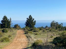  Terrain for sale in Navidad, Cardenal Caro, Navidad