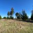  Land for sale in Navidad, Cardenal Caro, Navidad