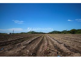 Estudio Villa en venta en Armeria, Colima, Armeria