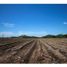 Studio Villa for sale in Armeria, Colima, Armeria