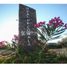  Land for sale in Comala, Colima, Comala