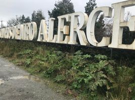  Terreno (Parcela) en venta en Puerto Montt, Llanquihue, Puerto Montt