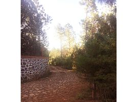  Land for sale in Mineral Del Chico, Hidalgo, Mineral Del Chico, Hidalgo