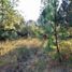  Land for sale in Mineral Del Chico, Hidalgo, Mineral Del Chico, Hidalgo