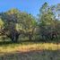  Land for sale in Mineral Del Chico, Hidalgo, Mineral Del Chico, Hidalgo