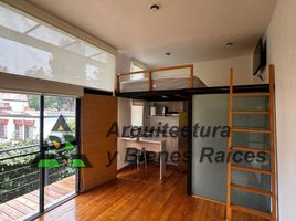 1 Schlafzimmer Wohnung zu vermieten in Alvaro Obregon, Mexico City, Alvaro Obregon, Mexico City