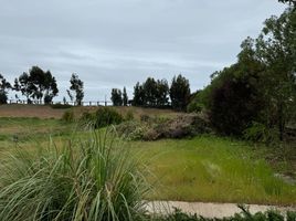  Terreno (Parcela) en venta en Valparaíso, Puchuncavi, Valparaíso, Valparaíso
