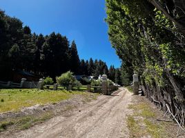 5 Schlafzimmer Haus zu verkaufen in Lacar, Neuquen, Lacar