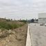  Grundstück zu verkaufen in San Pedro Garza Garcia, Nuevo Leon, San Pedro Garza Garcia