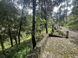  Grundstück zu verkaufen in Valle De Bravo, Mexico, Valle De Bravo, Mexico