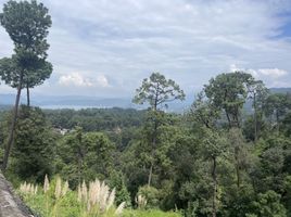  Grundstück zu verkaufen in Valle De Bravo, Mexico, Valle De Bravo