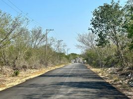  Grundstück zu verkaufen in Conkal, Yucatan, Conkal