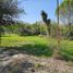 Land for sale in Montemorelos, Nuevo Leon, Montemorelos