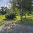  Land for sale in Montemorelos, Nuevo Leon, Montemorelos