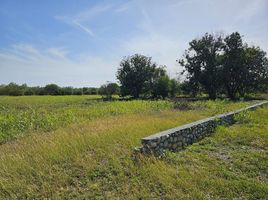  Land for sale in Montemorelos, Nuevo Leon, Montemorelos