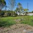  Land for sale in Montemorelos, Nuevo Leon, Montemorelos