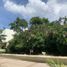  Land for sale in Conkal, Yucatan, Conkal
