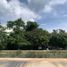 Land for sale in Conkal, Yucatan, Conkal