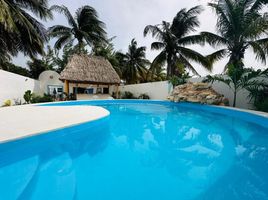 在Yucatan出租的4 卧室 屋, Chicxulub Pueblo, Yucatan