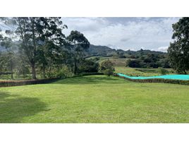  Terreno (Parcela) en venta en El Carmen De Viboral, Antioquia, El Carmen De Viboral