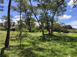  Terreno (Parcela) en venta en La Ceja, Antioquia, La Ceja