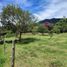  Land for sale in La Ceja, Antioquia, La Ceja