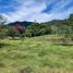  Land for sale in La Ceja, Antioquia, La Ceja