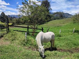  Terreno (Parcela) en venta en La Ceja, Antioquia, La Ceja