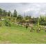  Land for sale in Valle Del Cauca, La Cumbre, Valle Del Cauca