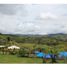  Land for sale in La Cumbre, Valle Del Cauca, La Cumbre