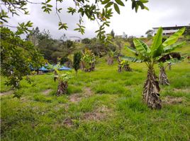  Terreno (Parcela) en venta en Valle Del Cauca, La Cumbre, Valle Del Cauca