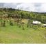  Land for sale in La Cumbre, Valle Del Cauca, La Cumbre