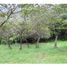  Land for sale in Valle Del Cauca, Jamundi, Valle Del Cauca