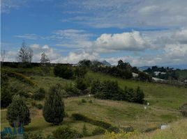  Terreno (Parcela) en venta en Marinilla, Antioquia, Marinilla