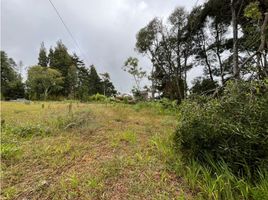  Land for sale in Rionegro, Antioquia, Rionegro