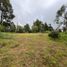  Land for sale in Rionegro, Antioquia, Rionegro