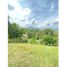  Land for sale in Andalucia, Valle Del Cauca, Andalucia